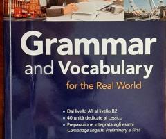 Grammar and Vocabulary for the Real World