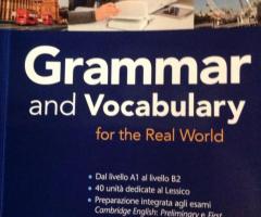 Grammar and vocabulary