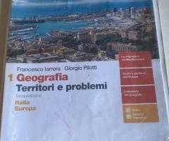 Geografia territori e problemi (volume 1)