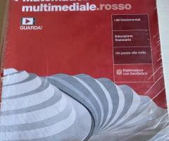 Matematica multimediale rosso (volume 1)